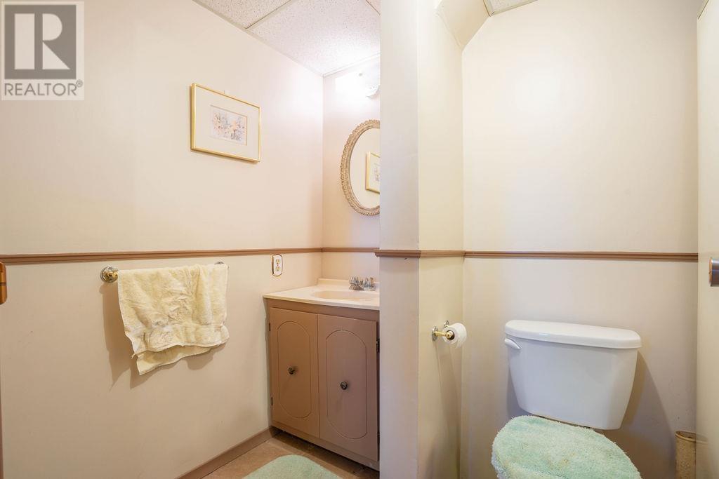 84 Koprash Ct, Sault Ste. Marie, Ontario  P6B 5R9 - Photo 29 - SM261351