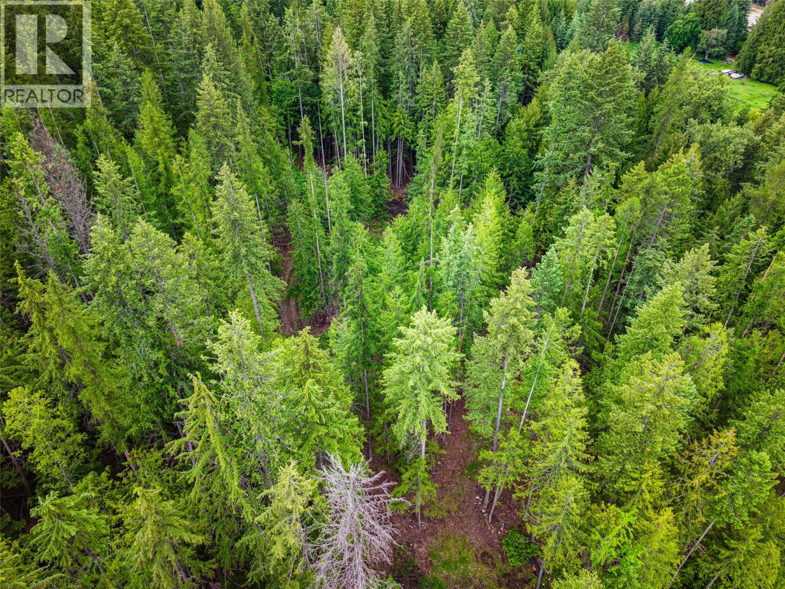 7346 Harrop Procter Road, Procter, British Columbia V1L 6R4 - Photo 62 - 10390770