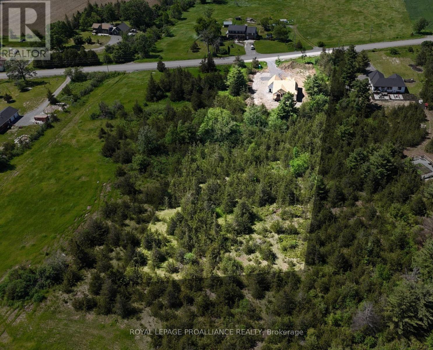 102 Dewey Road, Stone Mills, Ontario  K0K 3N0 - Photo 6 - X12896108