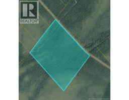 53.1 Acres Route 117, Napan, New Brunswick