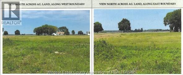 8409 North River Line, Wallaceburg, Ontario  N8A 4L1 - Photo 14 - 26013581