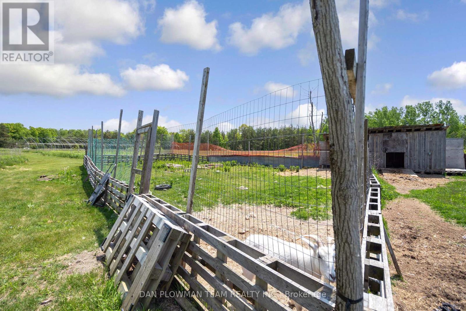 3221 Regional Road 20 Road, Clarington, Ontario  L0A 1K0 - Photo 10 - E13047626