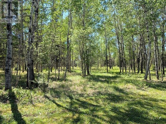 26 Bullock Rd, Oxdrift, Ontario  P8N 2Y5 - Photo 6 - TB2601424