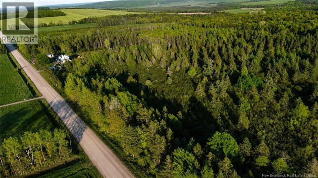 Lot Baseline Road, Cornhill, New Brunswick  E4Z 1J4 - Photo 12 - NB141272