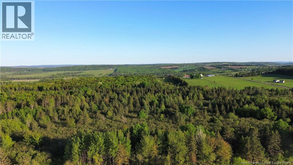 Lot Baseline Road, Cornhill, New Brunswick  E4Z 1J4 - Photo 18 - NB141272