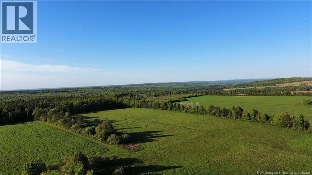 Lot Baseline Road, Cornhill, New Brunswick  E4Z 1J4 - Photo 26 - NB141272