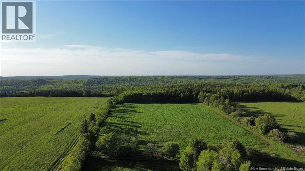 Lot Baseline Road, Cornhill, New Brunswick  E4Z 1J4 - Photo 27 - NB141272