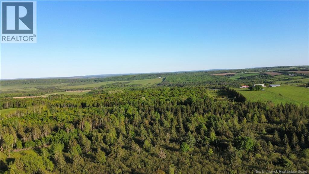 Lot Baseline Road, Cornhill, New Brunswick  E4Z 1J4 - Photo 28 - NB141272