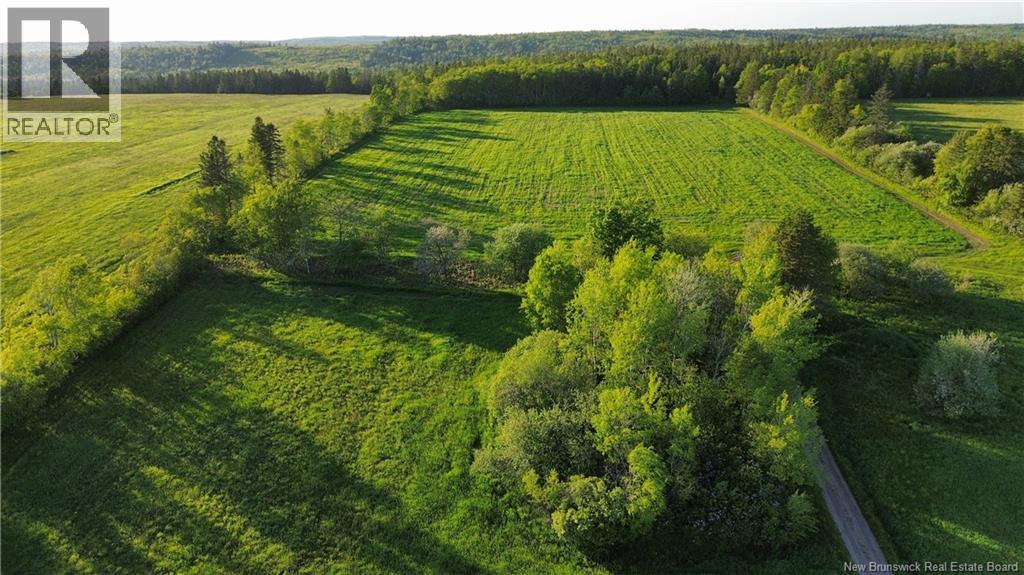 Lot Baseline Road, Cornhill, New Brunswick  E4Z 1J4 - Photo 30 - NB141272