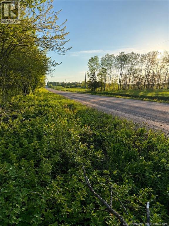 Lot Baseline Road, Cornhill, New Brunswick  E4Z 1J4 - Photo 35 - NB141272
