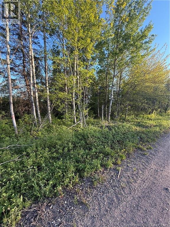 Lot Baseline Road, Cornhill, New Brunswick  E4Z 1J4 - Photo 36 - NB141272