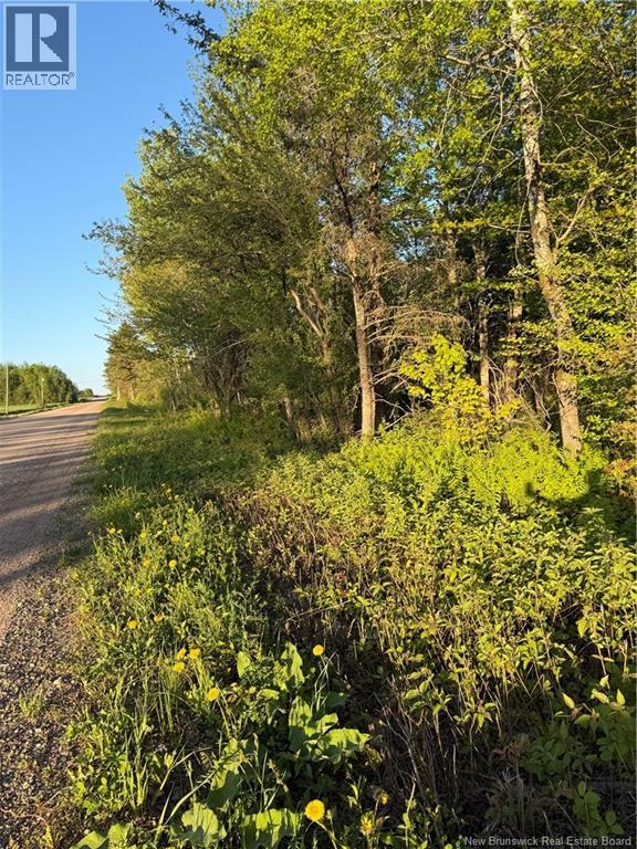 Lot Baseline Road, Cornhill, New Brunswick  E4Z 1J4 - Photo 37 - NB141272