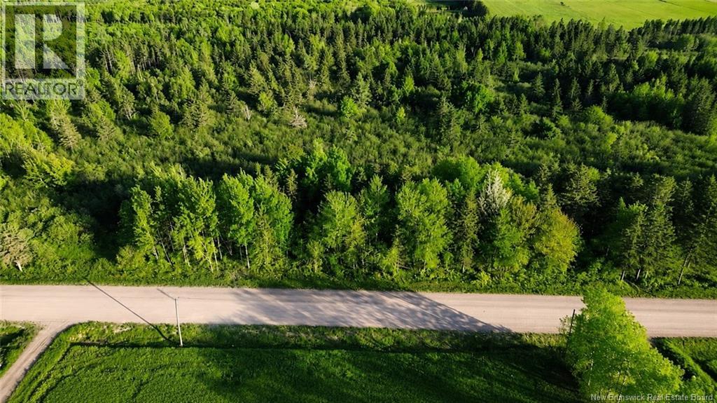 Lot Baseline Road, Cornhill, New Brunswick  E4Z 1J4 - Photo 6 - NB141272