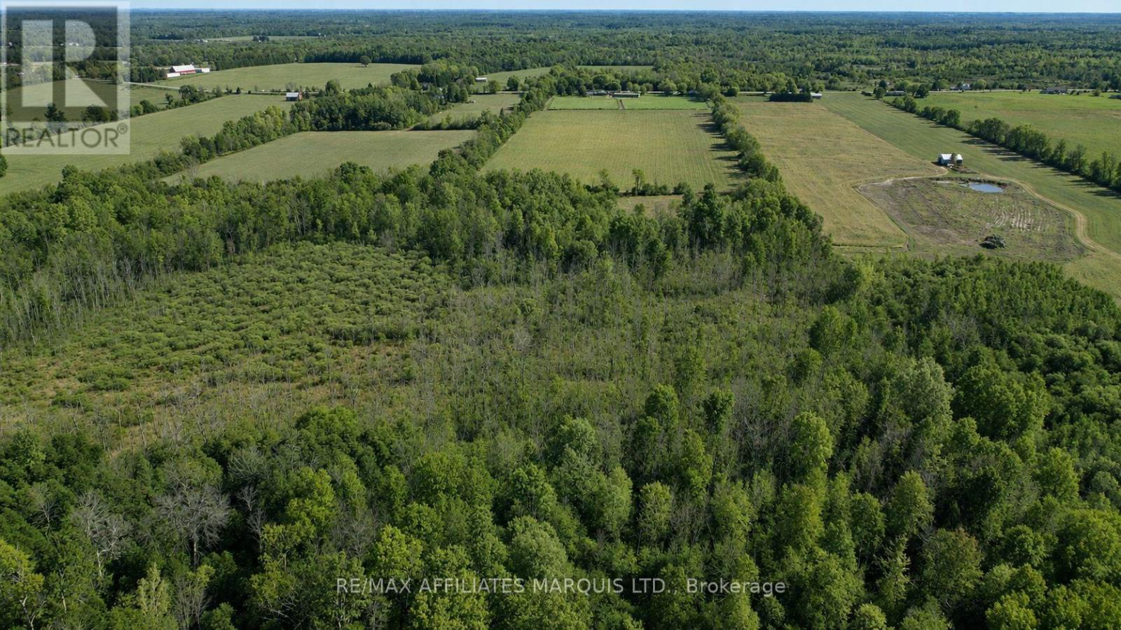 Lot County Road 21 Road, Augusta, Ontario  K0E 1X0 - Photo 5 - X13072632