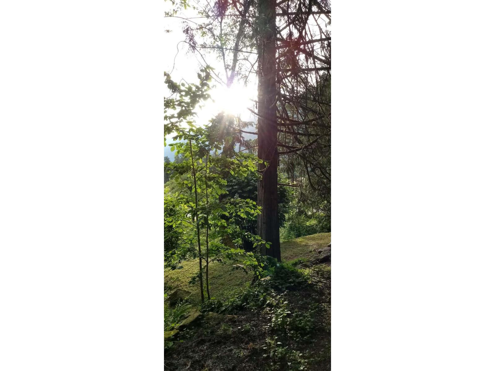 10821 N Popkum Road, Popkum, Rosedale, British Columbia  V0X 1X1 - Photo 36 - R3046379