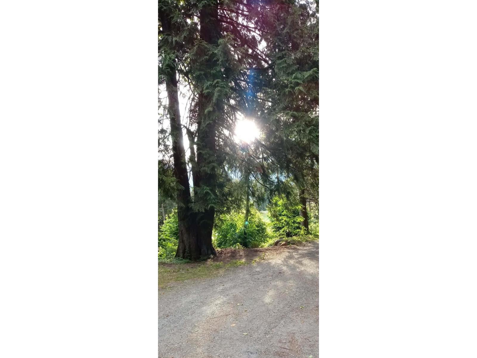 10821 N Popkum Road, Popkum, Rosedale, British Columbia  V0X 1X1 - Photo 37 - R3046379