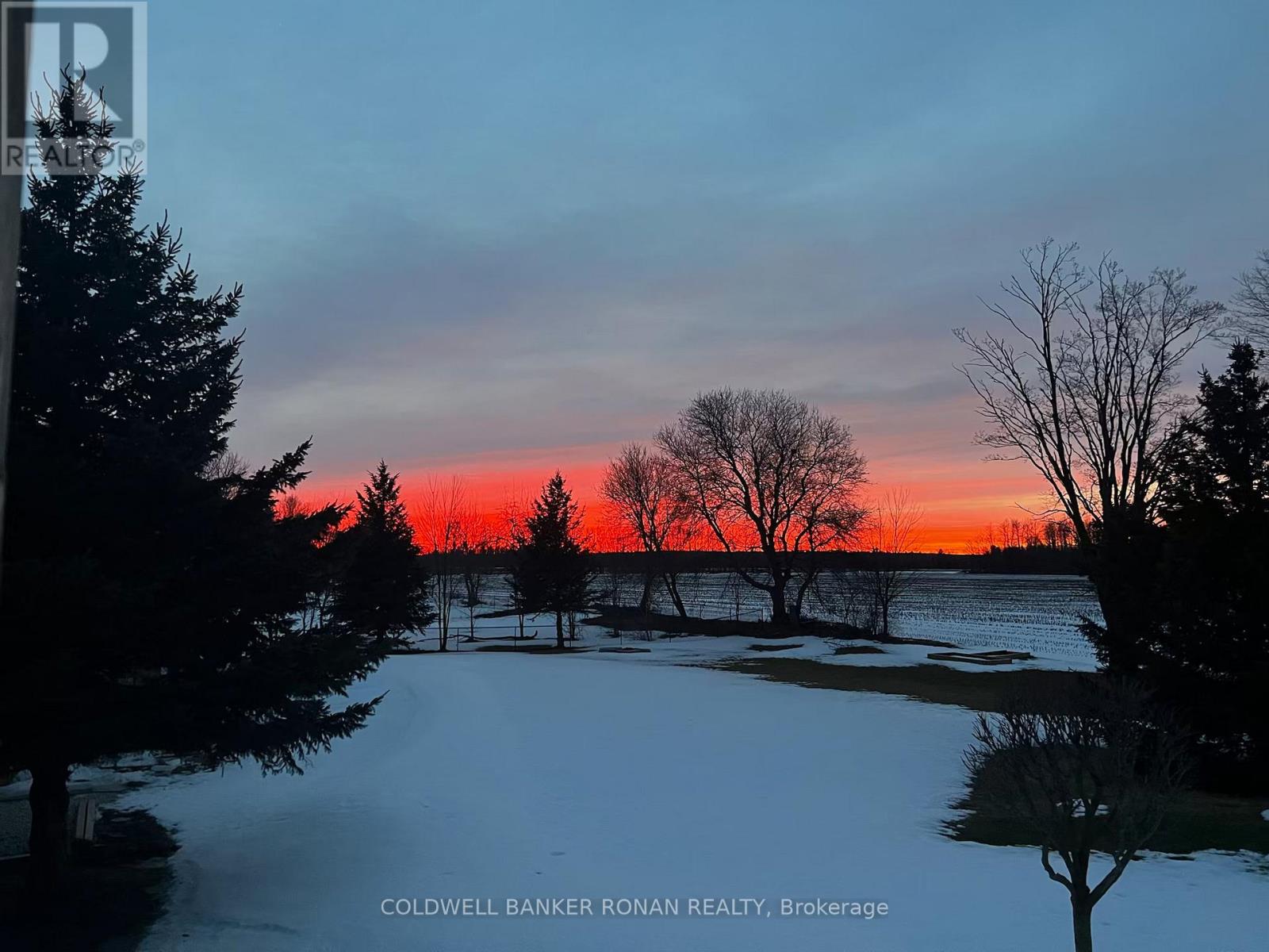 28 Fisher Drive, Adjala-Tosorontio, Ontario  L0M 1J0 - Photo 39 - N13414924