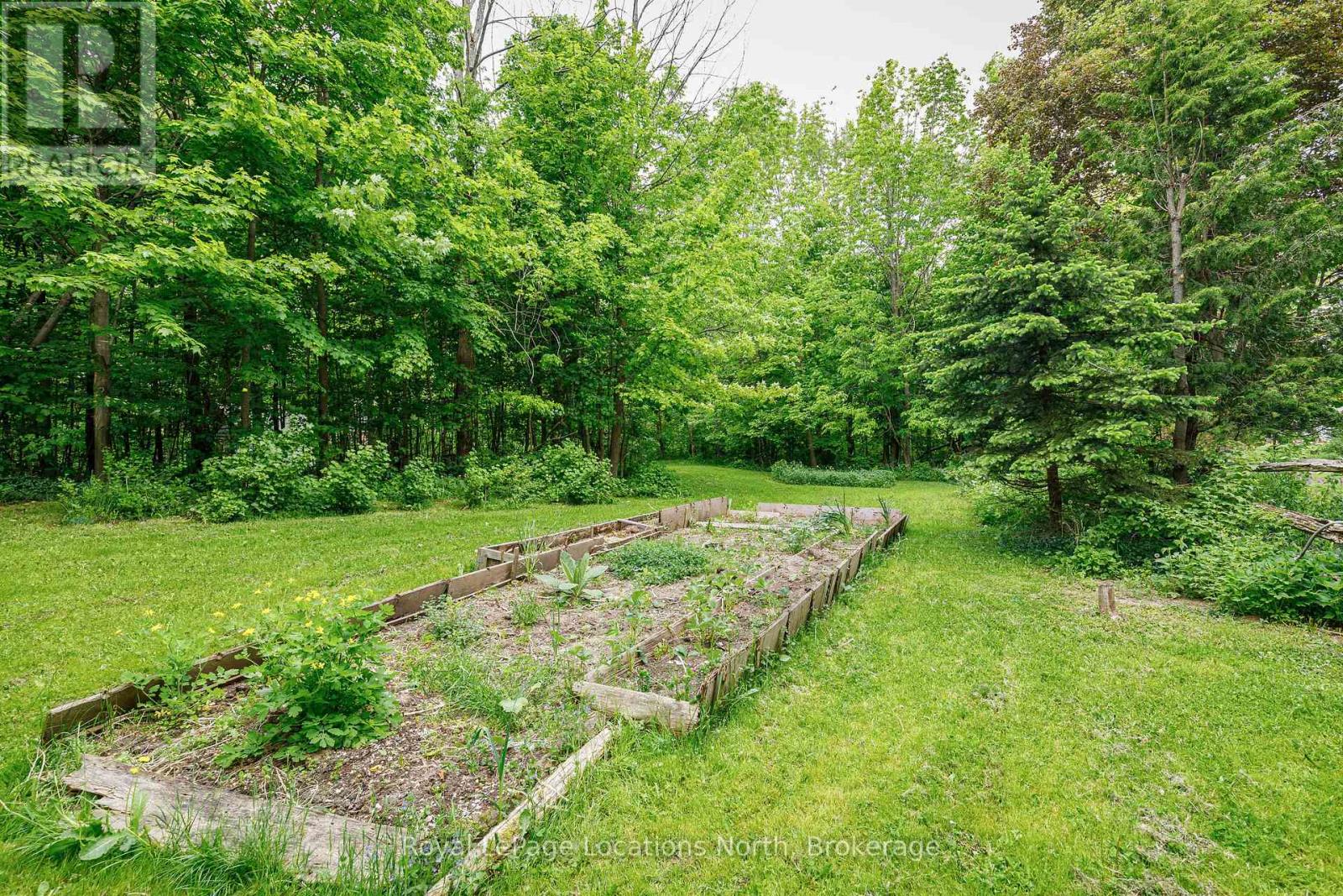 Lot 22 Park Street S, Grey Highlands, Ontario  N0C 1E0 - Photo 4 - X13420484