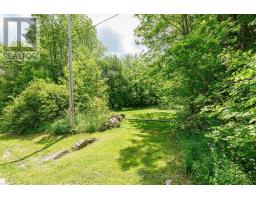 LOT 22 PARK STREET S, Grey Highlands, Ontario