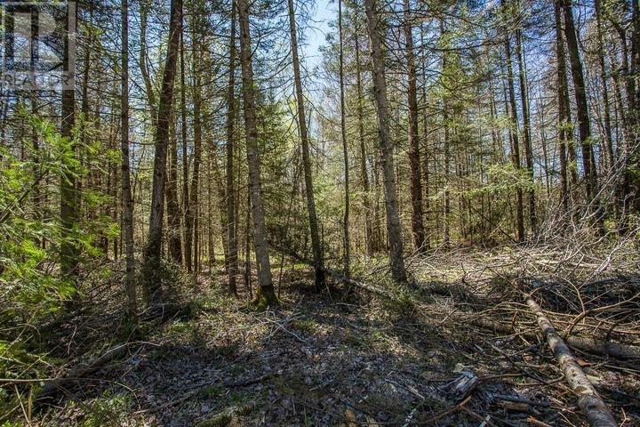 161 Concession Road 5, Bruce Mines, Ontario  P0R 1C0 - Photo 18 - SM261209