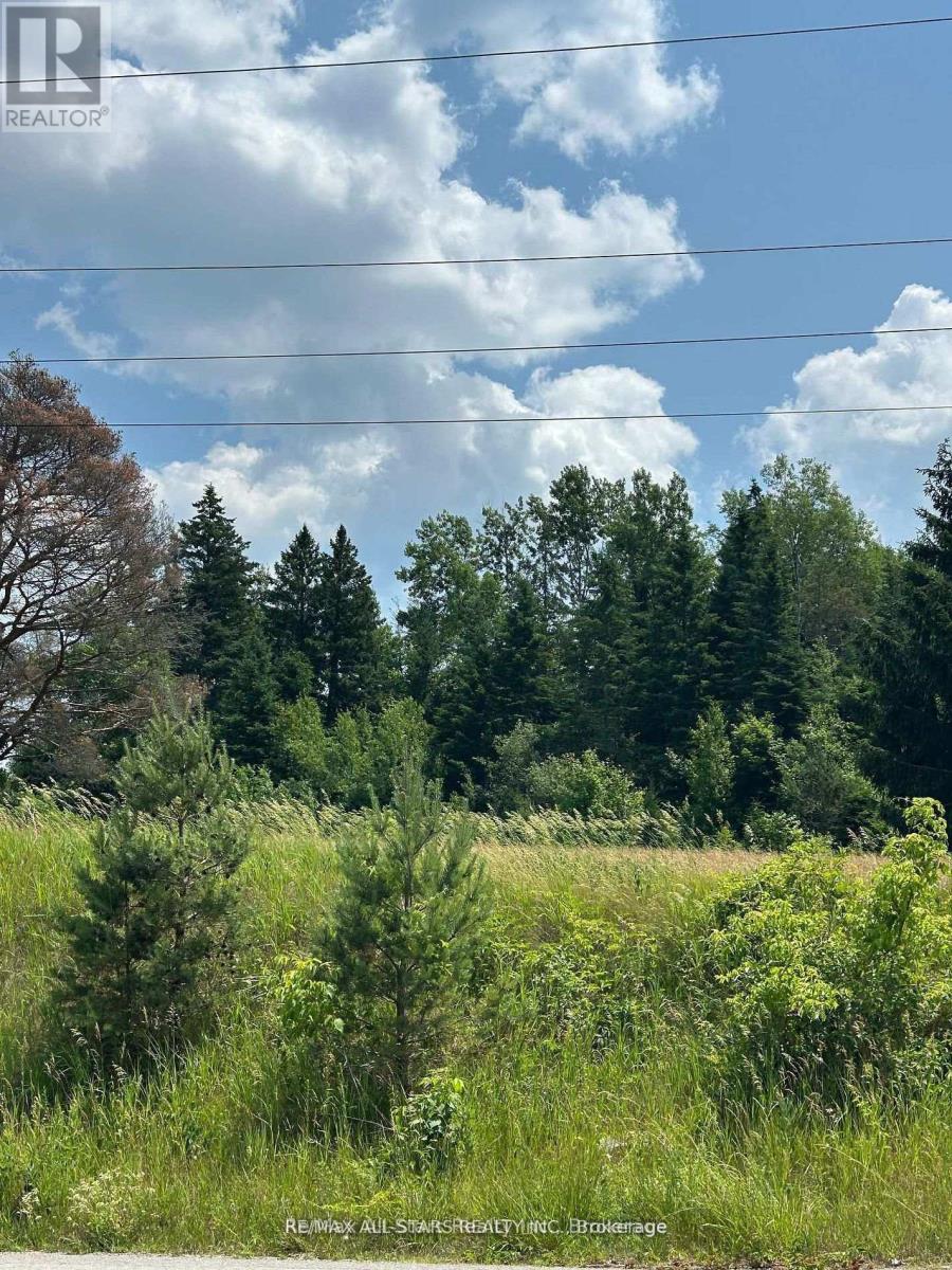 2 Thomas Street, Kawartha Lakes, Ontario  L0A 1K0 - Photo 8 - X13420896