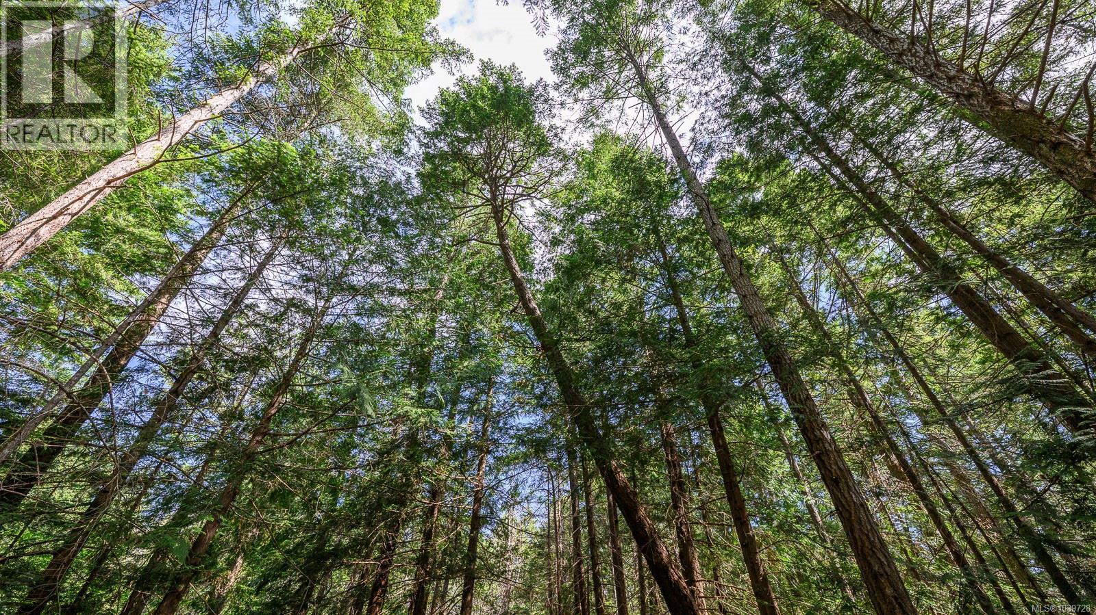 6535 St Johns Point Rd, Hornby Island, British Columbia  V0R 1Z0 - Photo 18 - 1039728