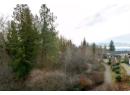 3359 Cougar Road Unit# 49, Westbank, BC V4T 3G1