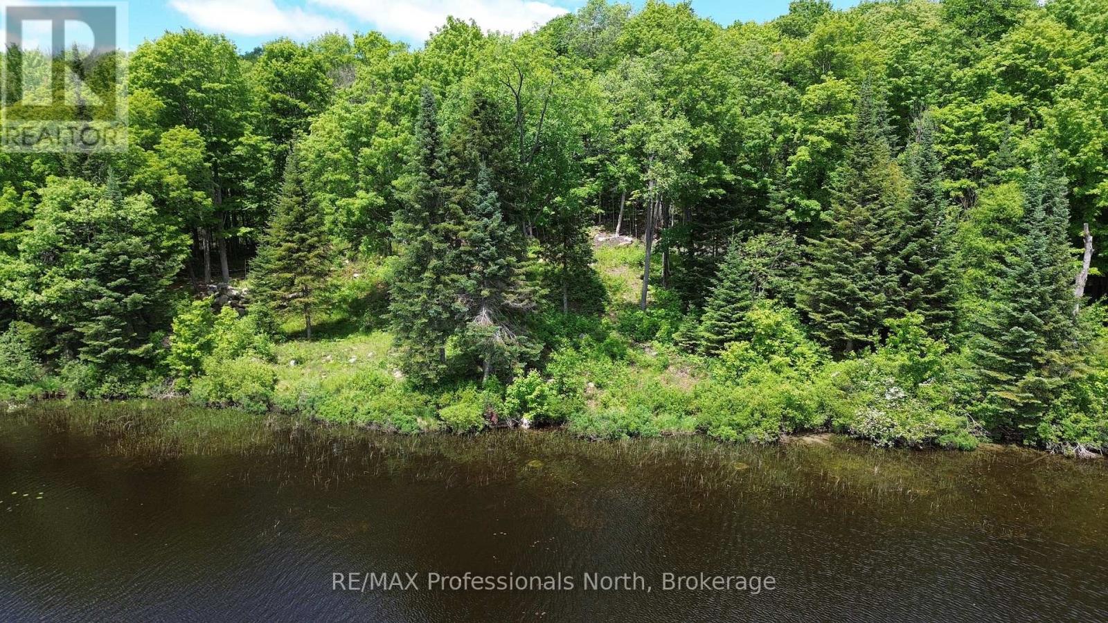 1074 Lowbank Drive, Highlands East, Ontario  K0L 2Y0 - Photo 11 - X13420996