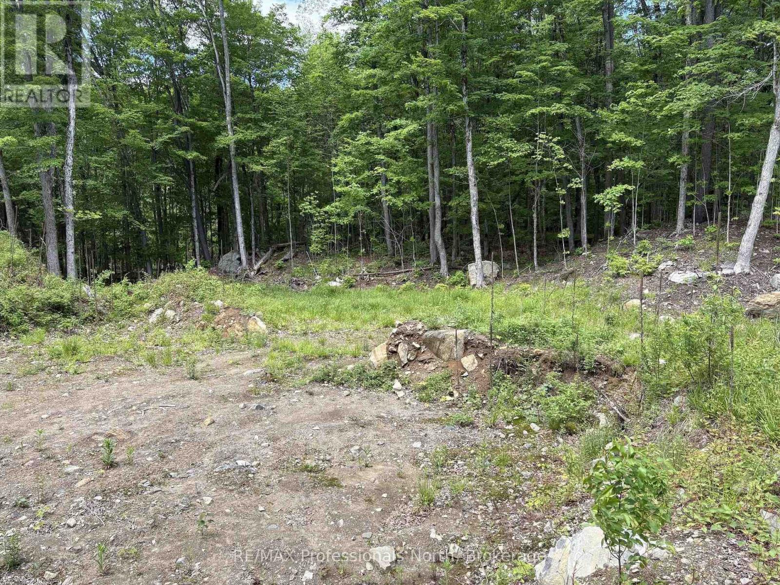 1074 Lowbank Drive, Highlands East, Ontario  K0L 2Y0 - Photo 22 - X13420996