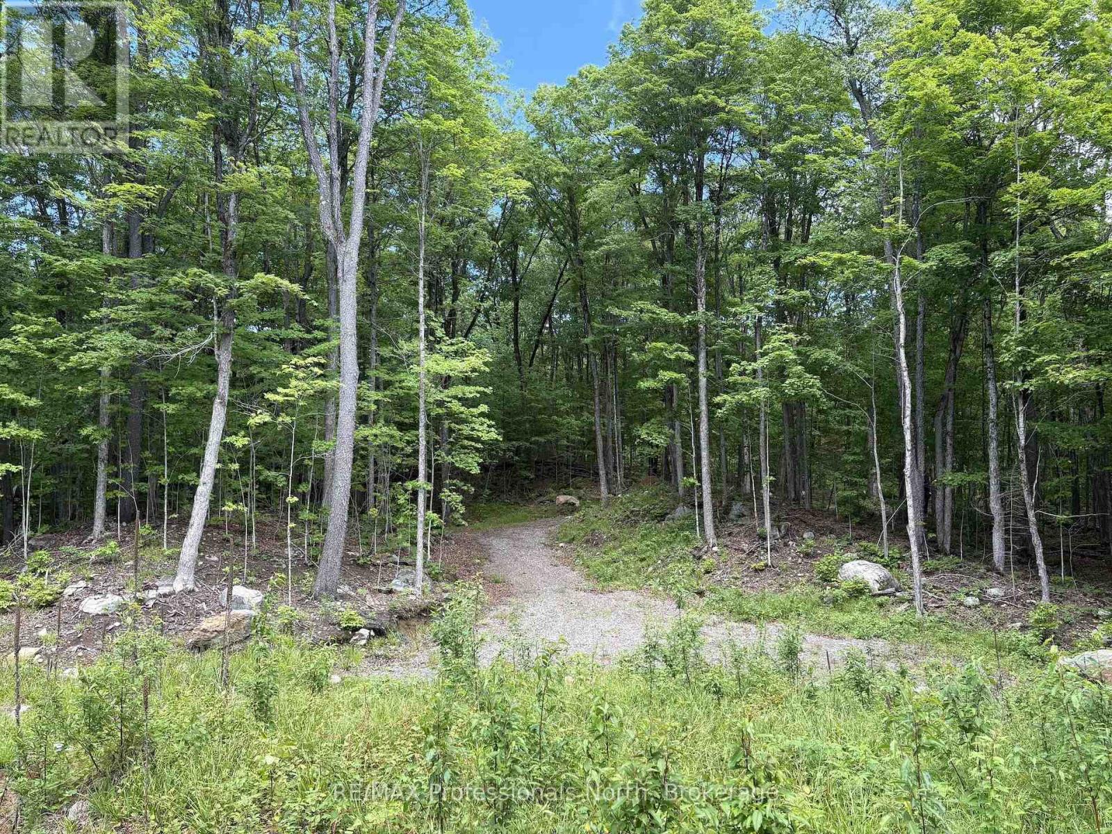 1074 Lowbank Drive, Highlands East, Ontario  K0L 2Y0 - Photo 23 - X13420996
