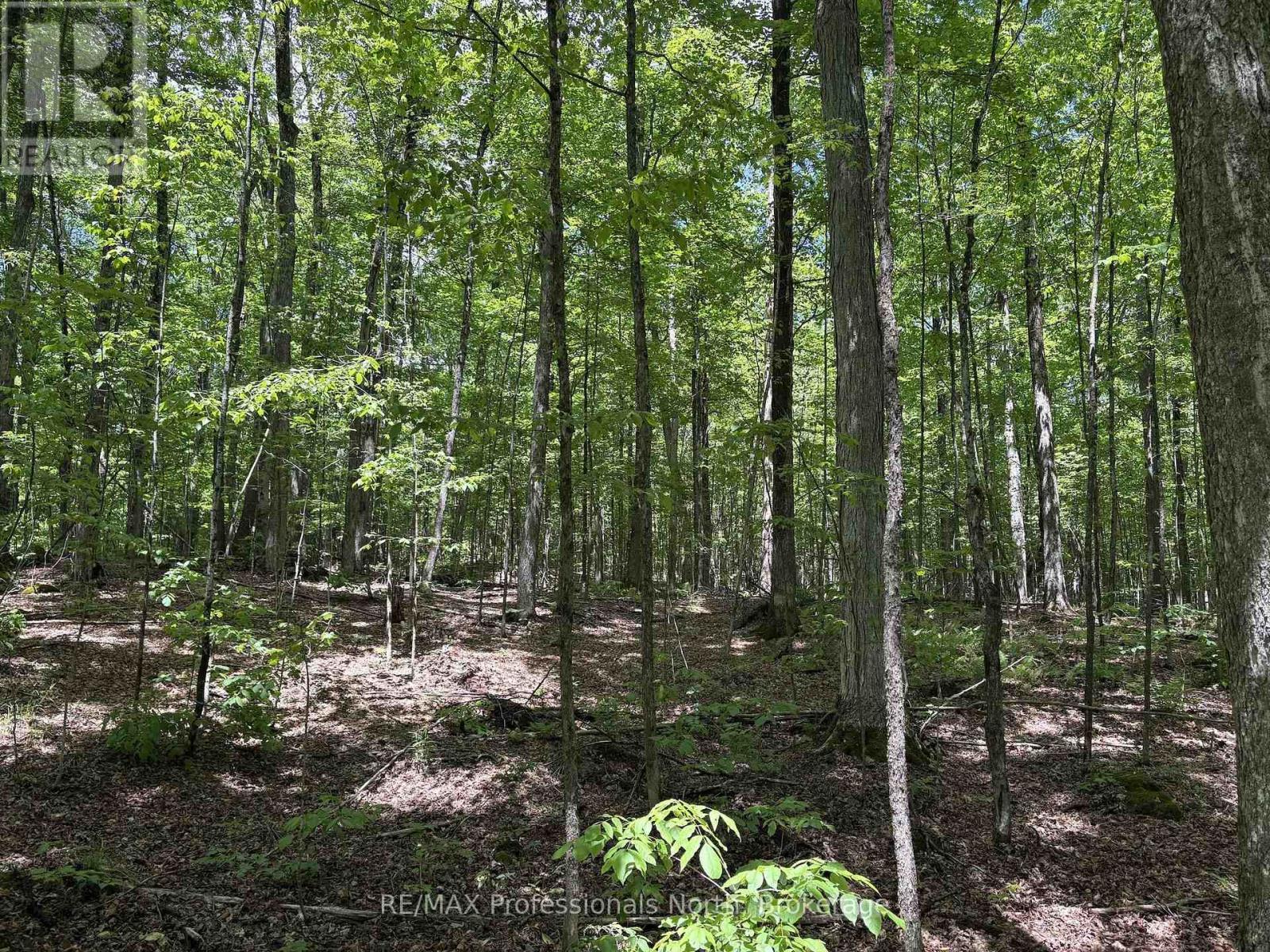 1074 Lowbank Drive, Highlands East, Ontario  K0L 2Y0 - Photo 37 - X13420996