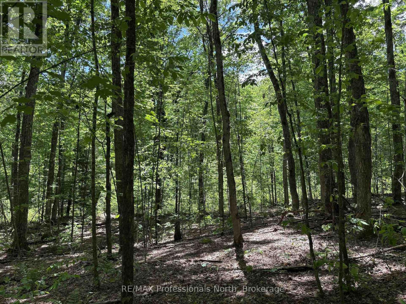 1074 Lowbank Drive, Highlands East, Ontario  K0L 2Y0 - Photo 39 - X13420996