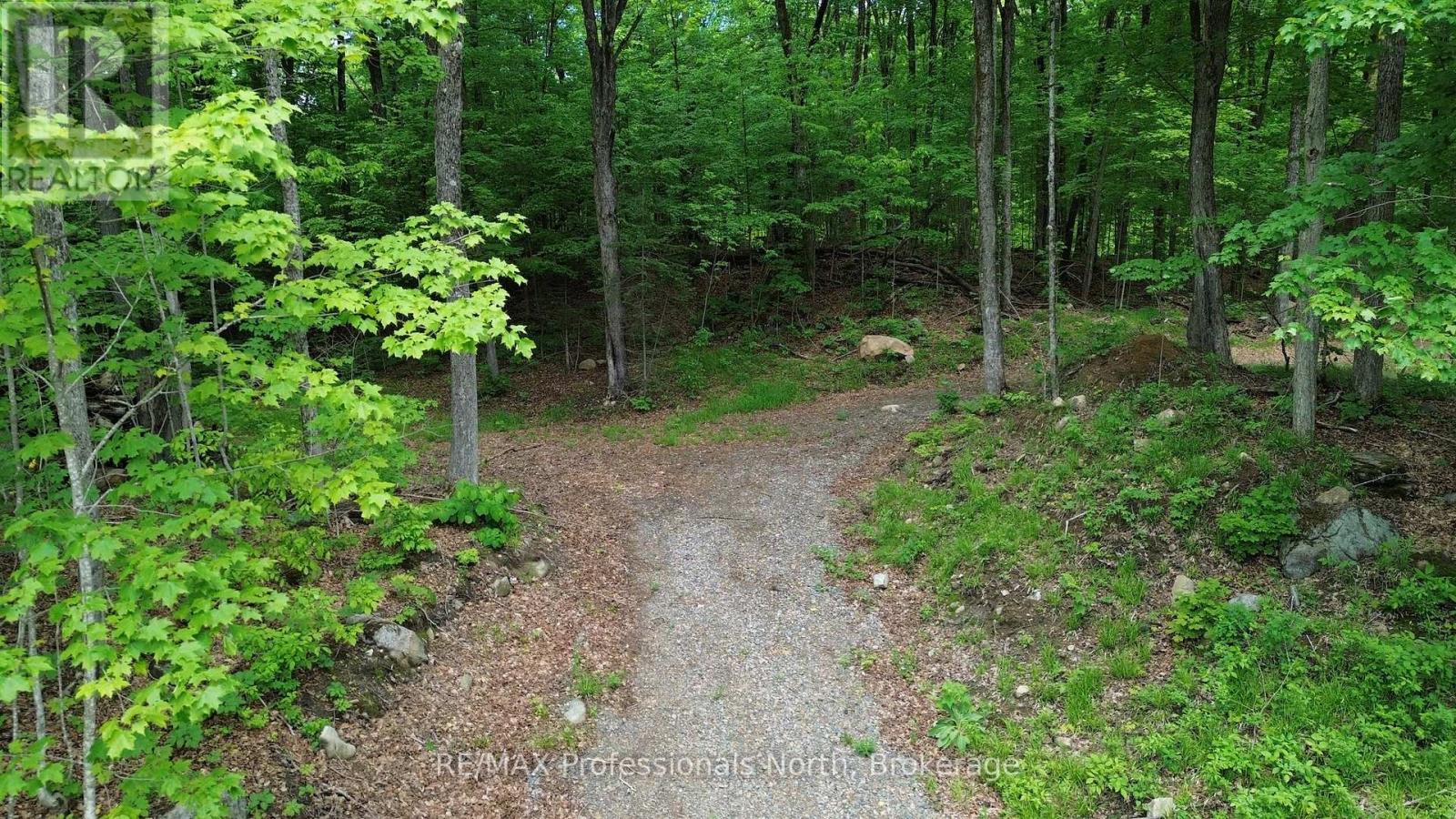 1074 Lowbank Drive, Highlands East, Ontario  K0L 2Y0 - Photo 6 - X13420996