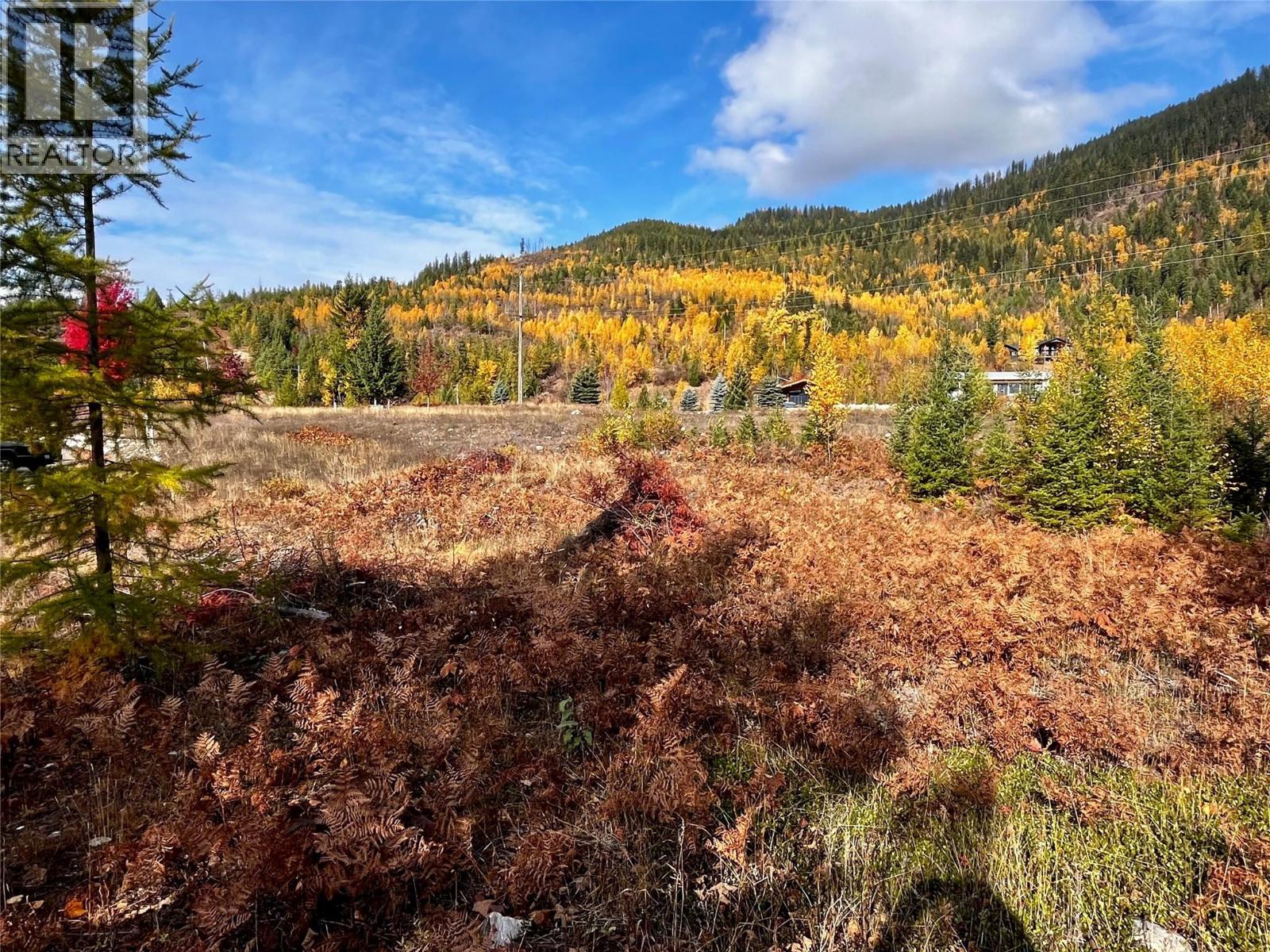 235 Fullmoon Road, Rosebery, British Columbia  V0G 1S1 - Photo 13 - 10366894