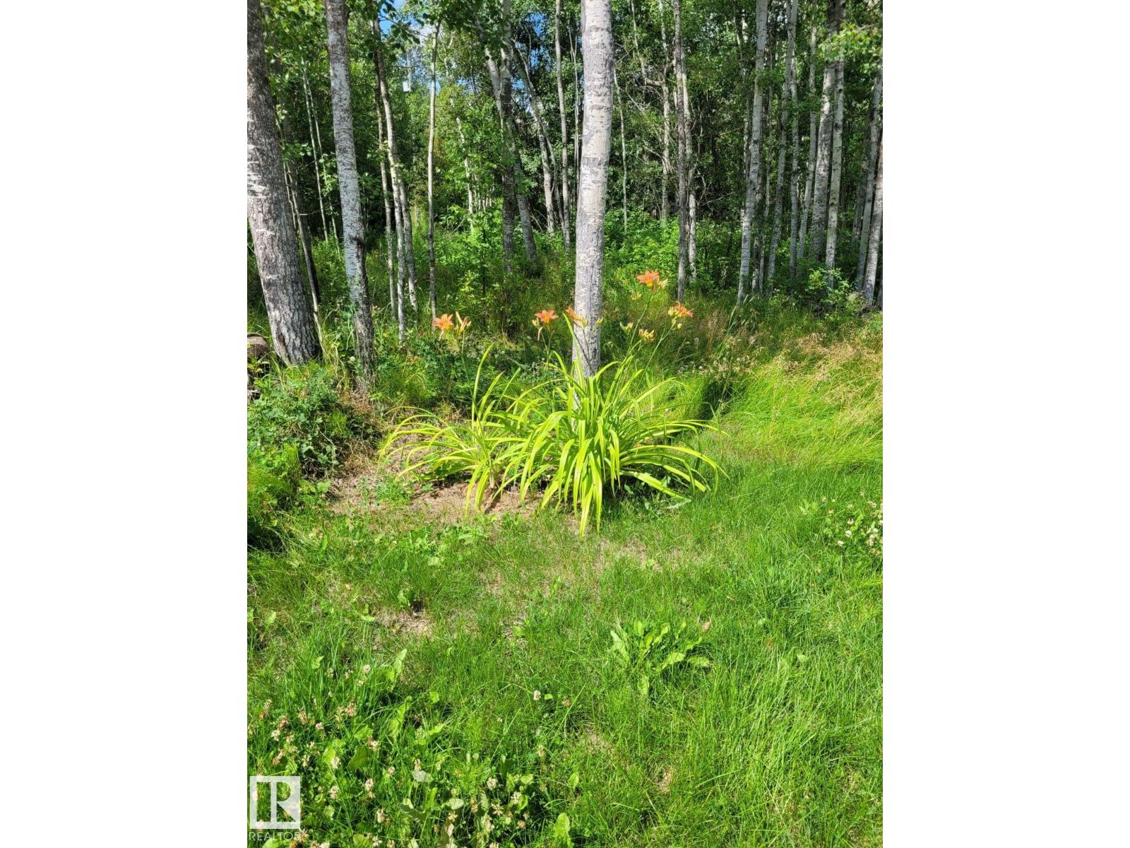 #17 56110 Rge Road 13, Rural Lac Ste. Anne County, Alberta T0E 1V0 - Photo 14 - E4479388