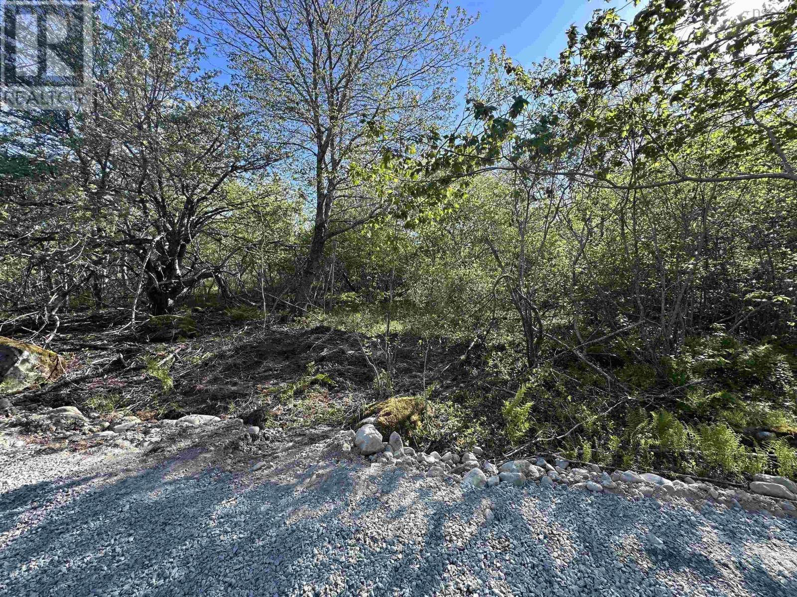 Lot 4 Shore Road, Western Head, Nova Scotia  B0T 1K0 - Photo 7 - 202613803