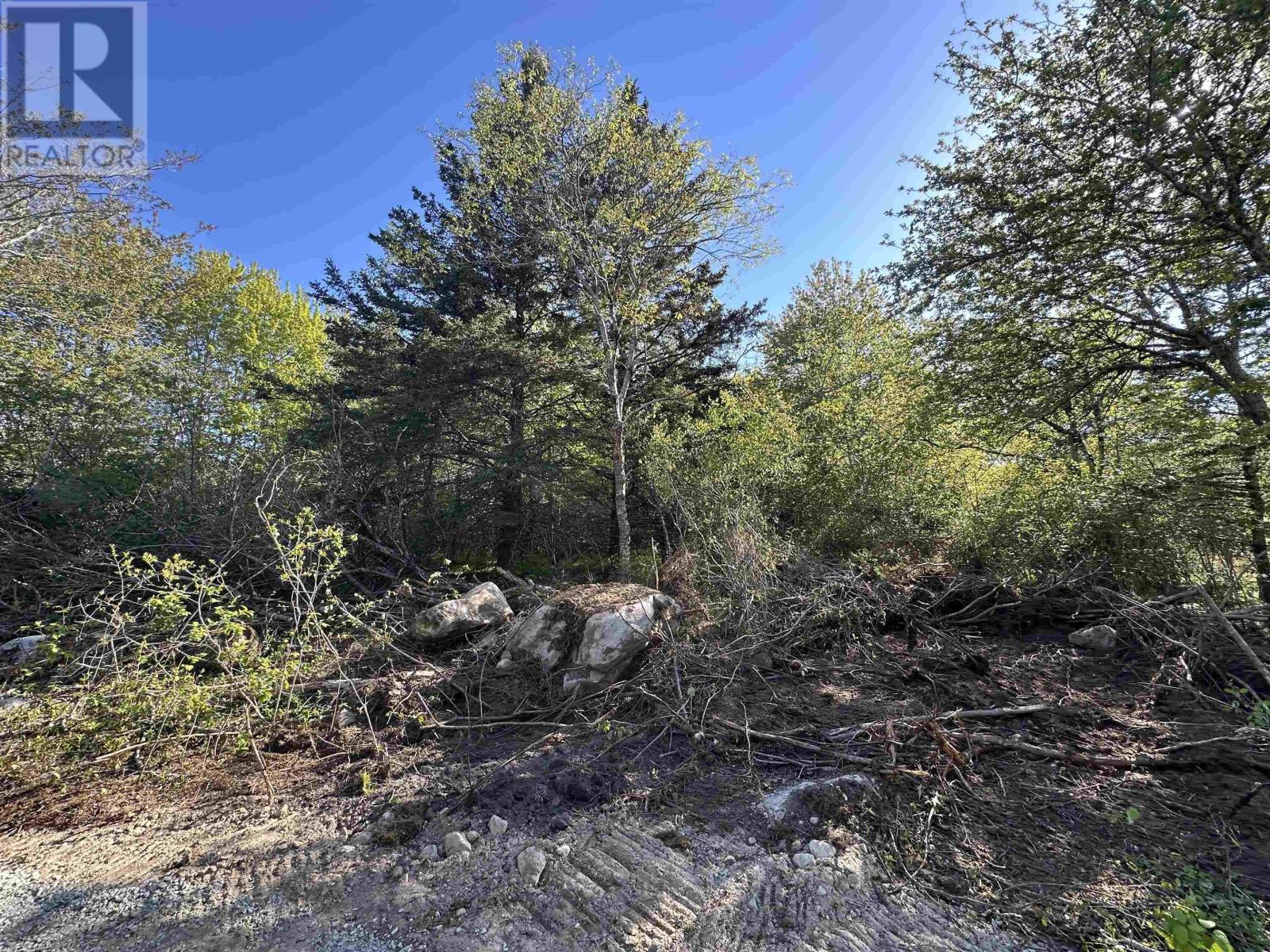 Lot 3 Shore Road, Western Head, Nova Scotia  B0T 1K0 - Photo 8 - 202613802