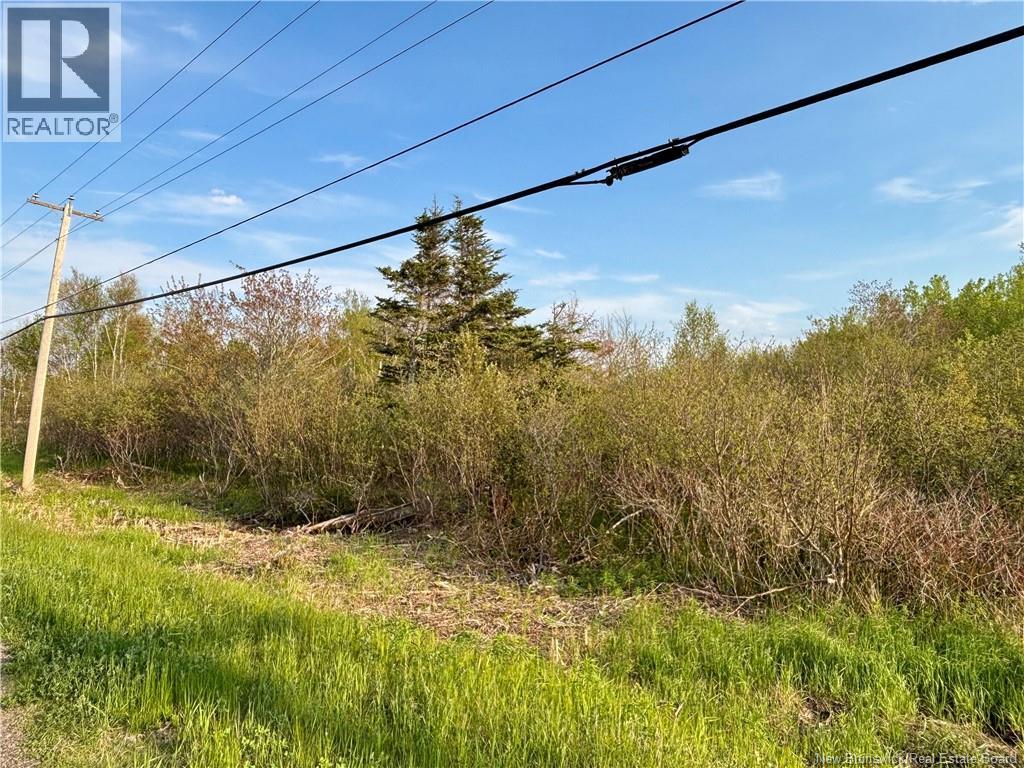 33.8 Acres Route 310, Coteau Road, New Brunswick  E8T 3K5 - Photo 2 - NB141550