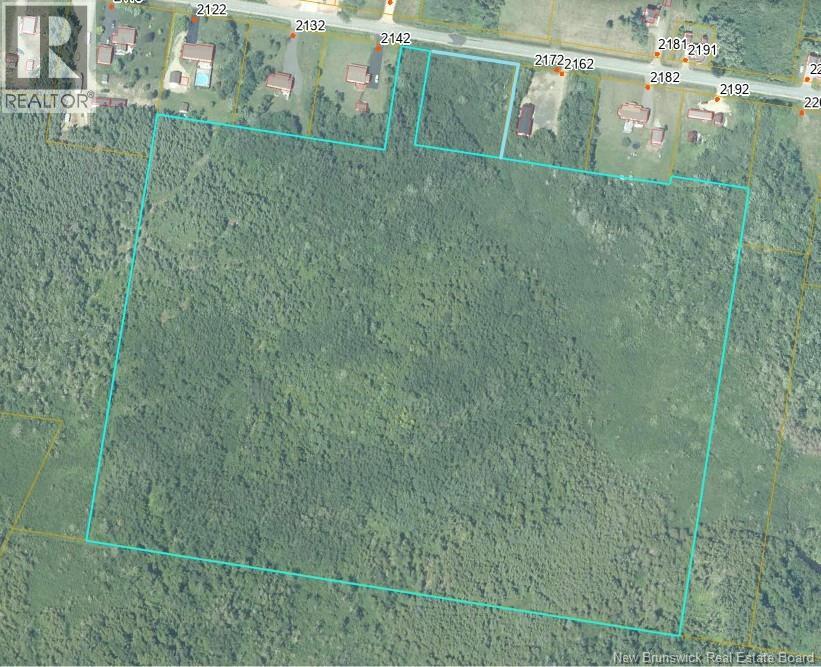33.8 Acres Route 310, Coteau Road, New Brunswick  E8T 3K5 - Photo 4 - NB141550