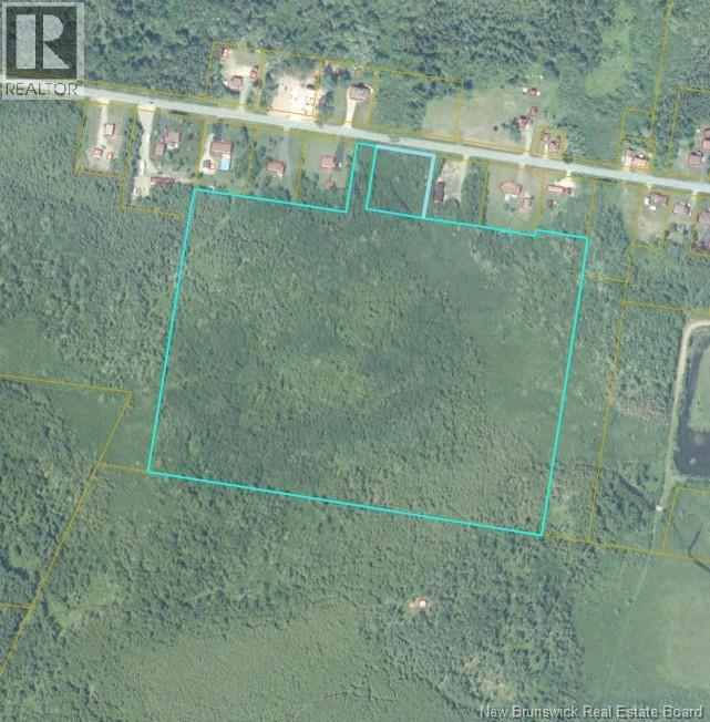 33.8 Acres Route 310, Coteau Road, New Brunswick  E8T 3K5 - Photo 5 - NB141550