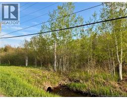 33.8 Acres Route 310, Coteau Road, New Brunswick