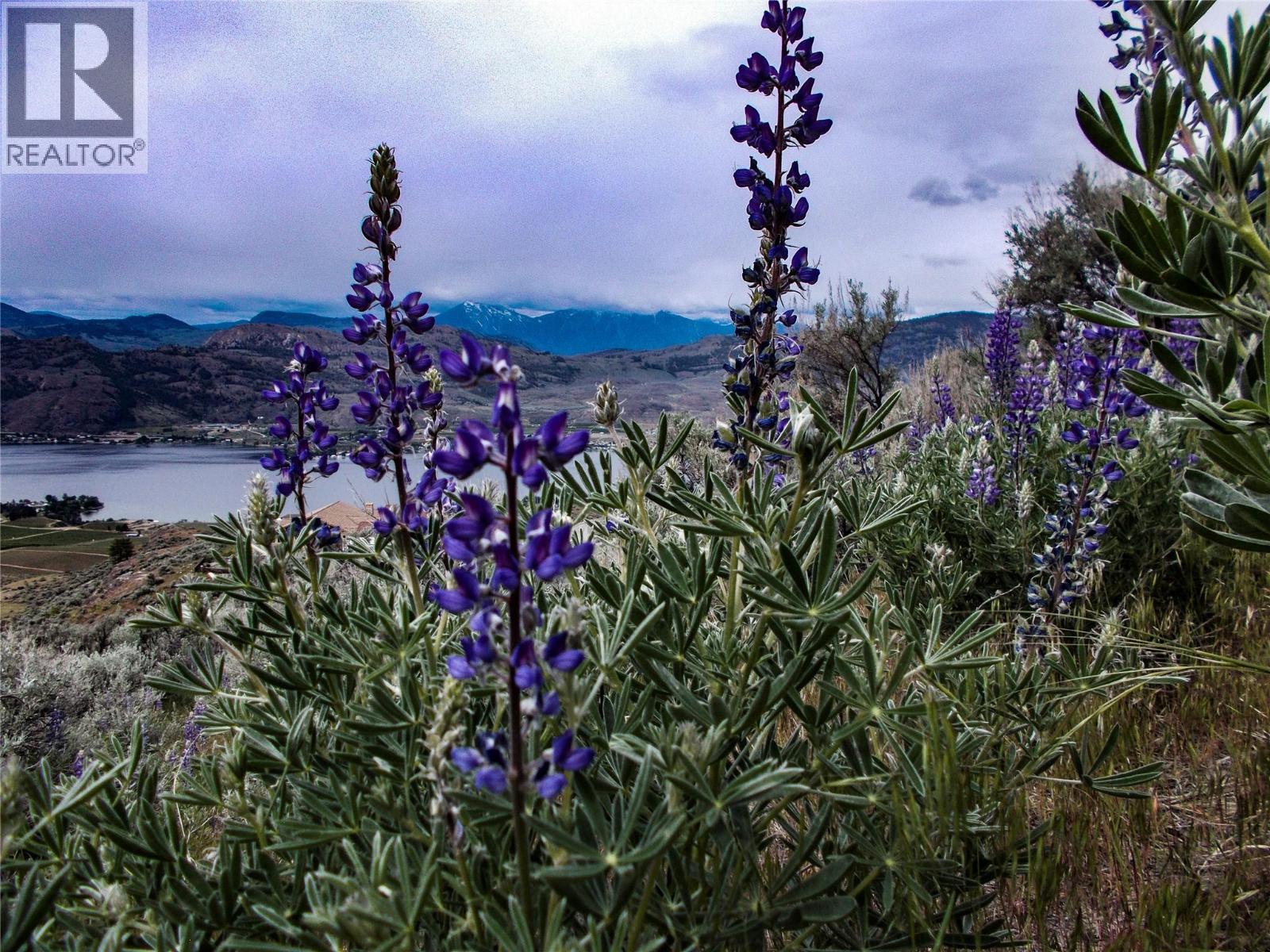 1345 3 Highway, Osoyoos, British Columbia  V0H 1V6 - Photo 14 - 10390677