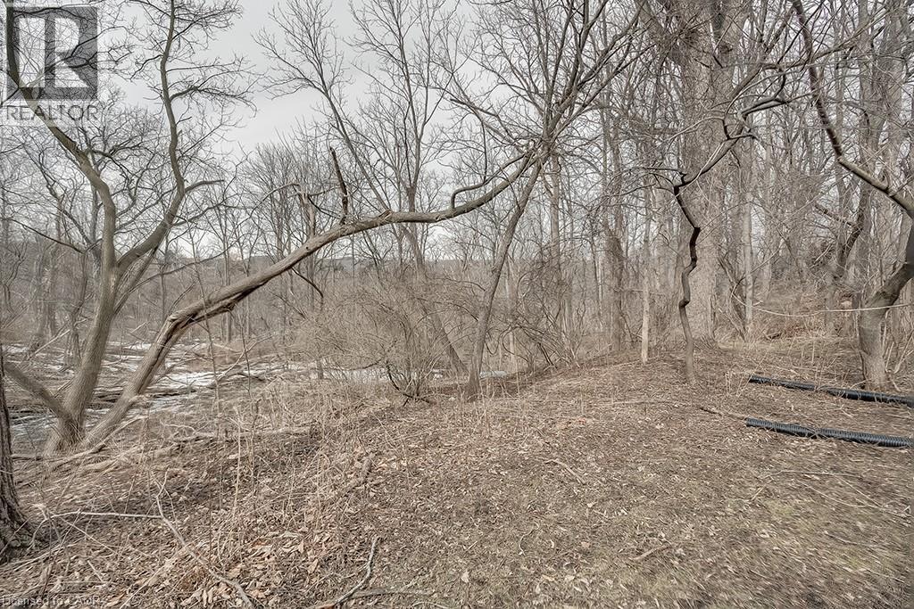 50 Sanders Boulevard, Hamilton, Ontario  L8S 3J6 - Photo 33 - 40802767