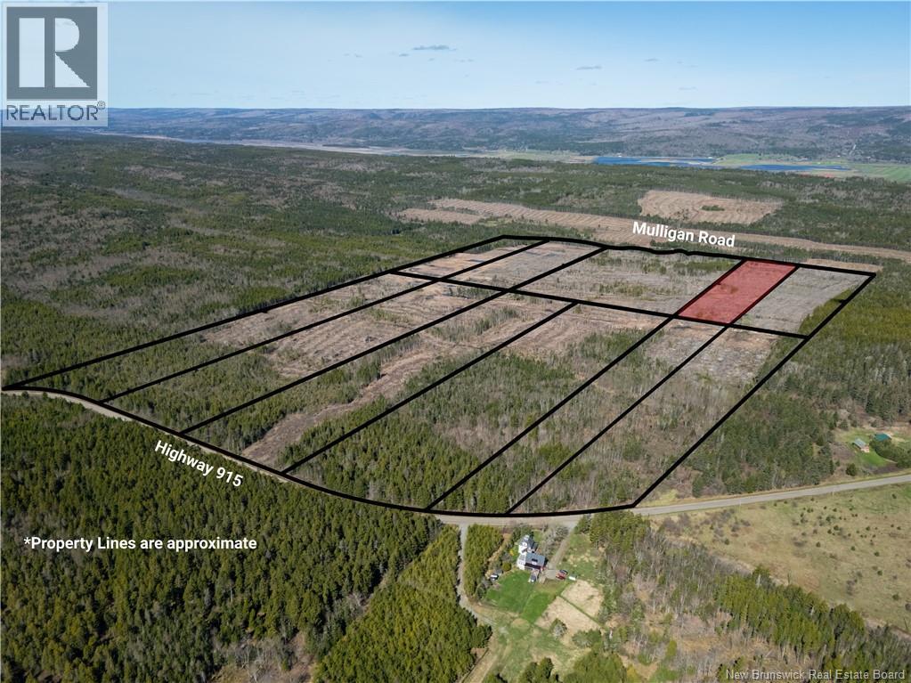 Lot 8 Route 915, Upper New Horton, New Brunswick  E4H 3T4 - Photo 6 - NB141452