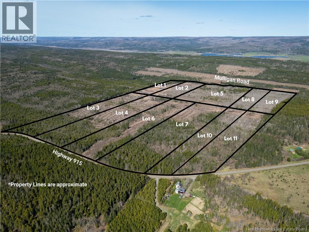 Lot 10 Route 915, Upper New Horton, New Brunswick  E4H 3T4 - Photo 12 - NB141527