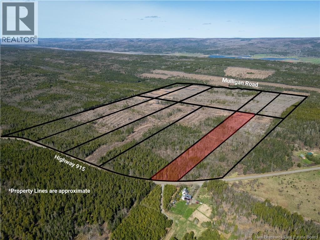 Lot 10 Route 915, Upper New Horton, New Brunswick  E4H 3T4 - Photo 8 - NB141527