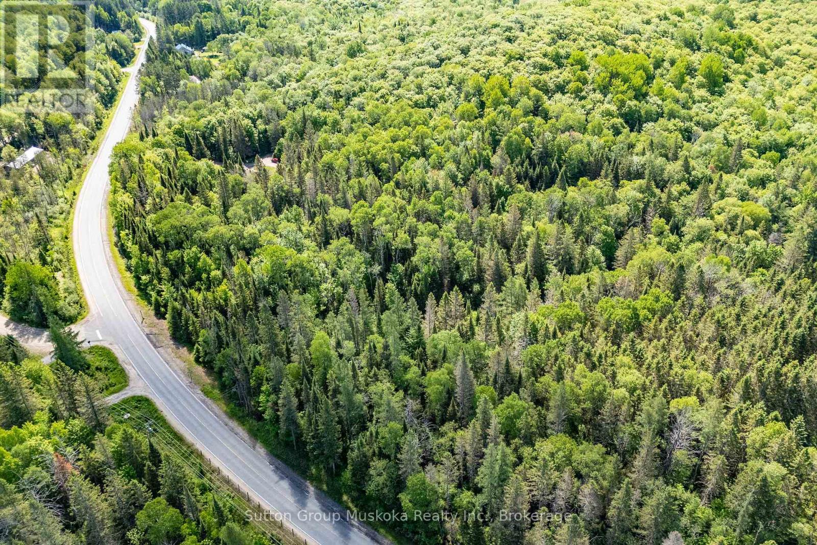 245 Hwy 518 Highway E, Perry (Emsdale), Ontario  P0A 1J0 - Photo 4 - X13421488