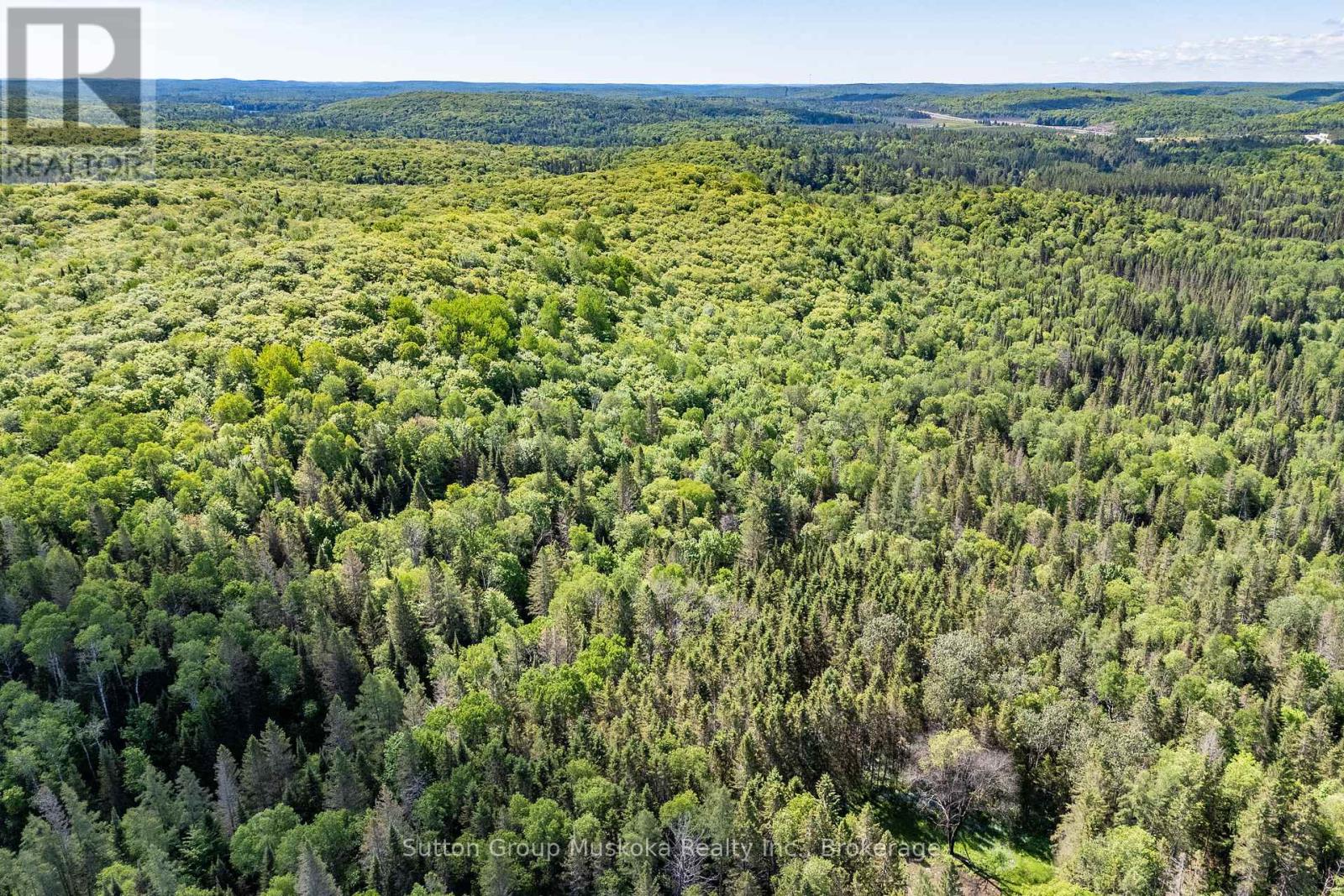 245 Hwy 518 Highway E, Perry (Emsdale), Ontario  P0A 1J0 - Photo 5 - X13421488
