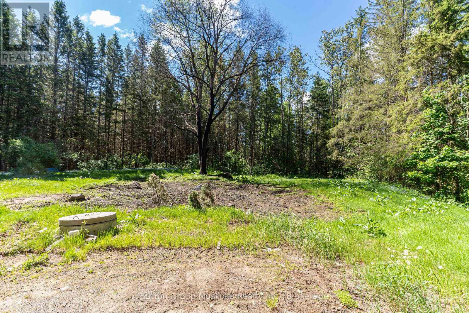 245 Hwy 518 Highway E, Perry (Emsdale), Ontario  P0A 1J0 - Photo 6 - X13421488
