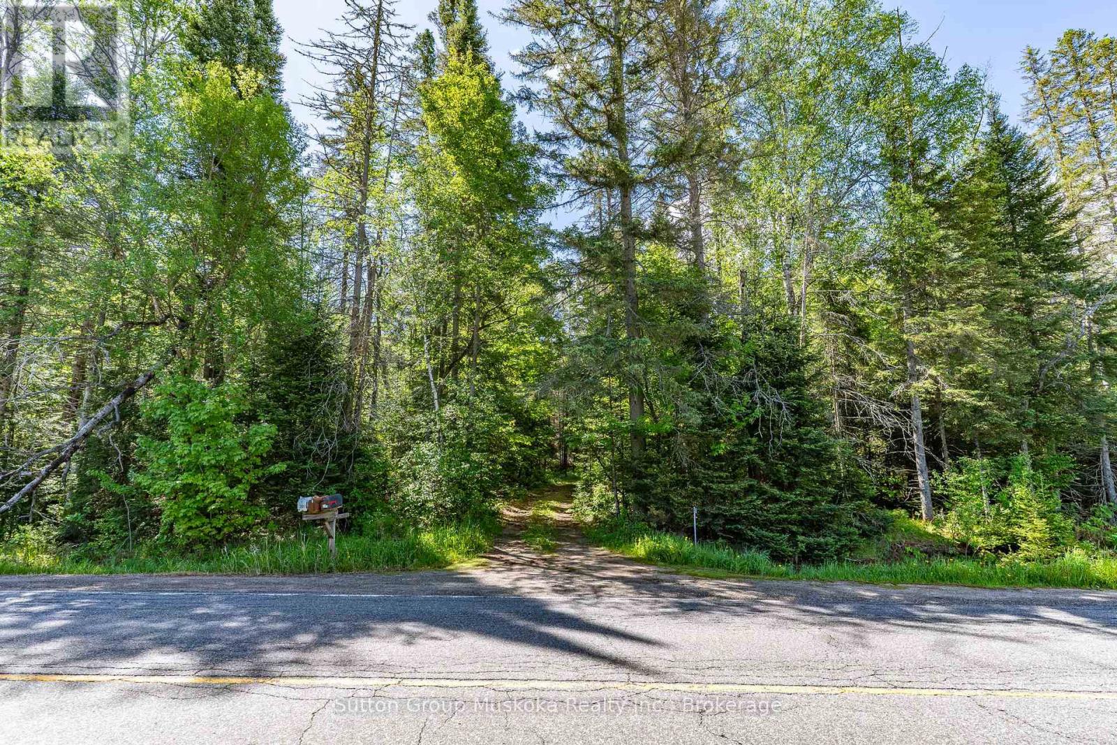 245 Hwy 518 Highway E, Perry (Emsdale), Ontario  P0A 1J0 - Photo 7 - X13421488
